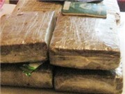 Bóng đá anh, ngoại hạng anh, lịch thi đấu euro 2012, Bắt vụ vận chuyển 4,1kg ma túy bằng hàng không